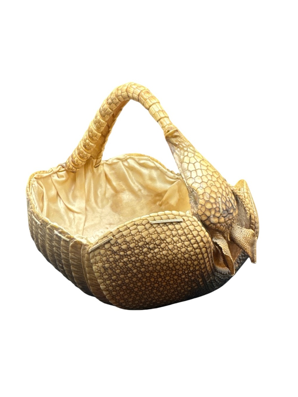 Antique 1900s Handled Armadillo Basket Oddities Decor Antique Taxidermy